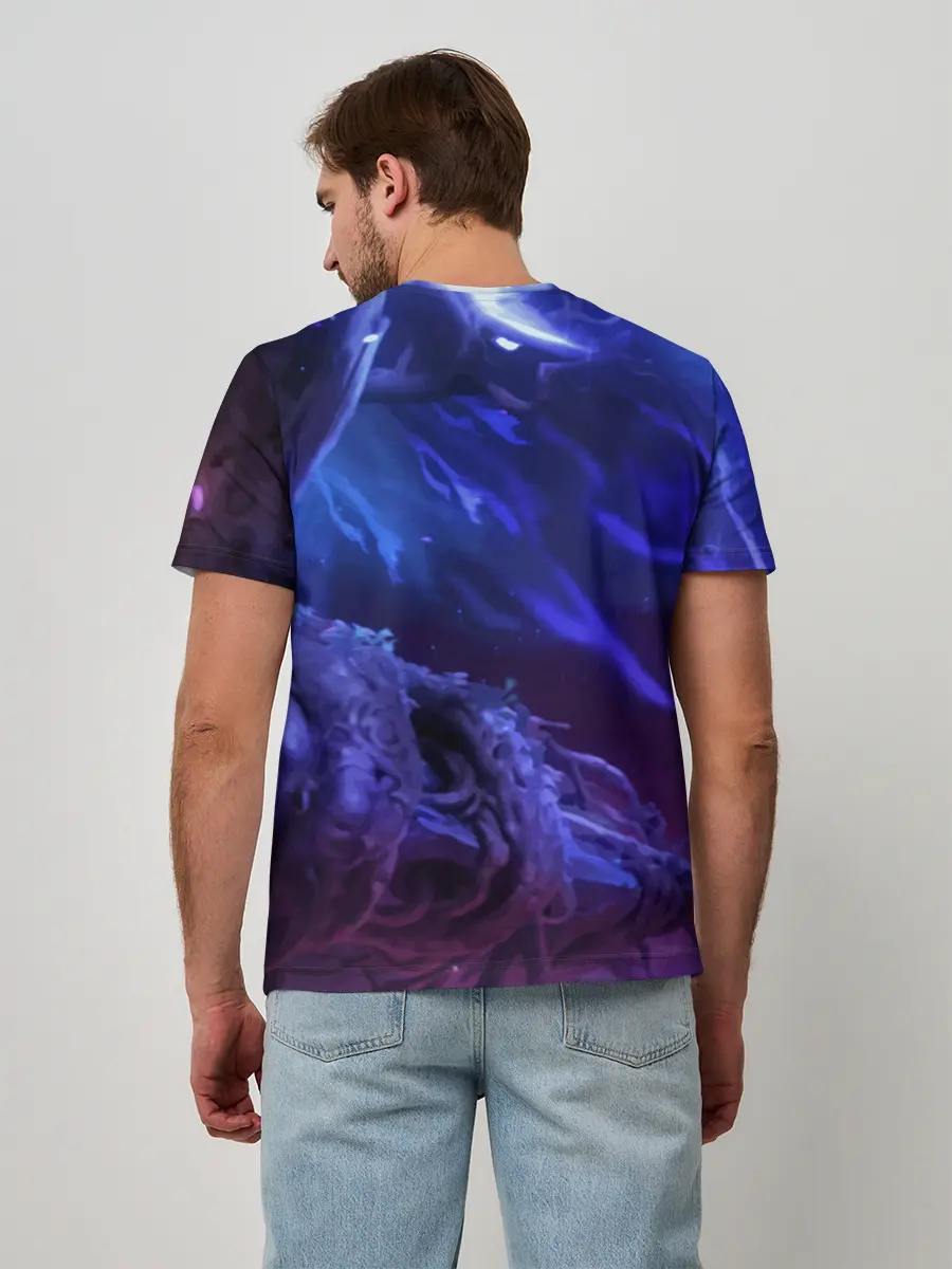 Мужская базовая футболка / Ori and the Will of the Wisps