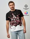 Мужская базовая футболка / muse.