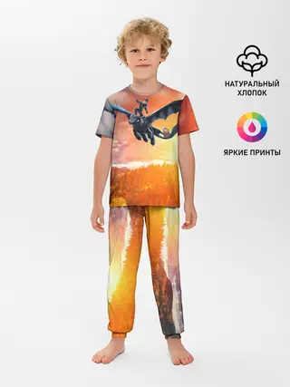 Детская пижама с брюками / Night Fury