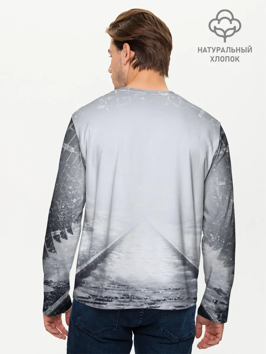 Мужской лонгслив базовый / METRO