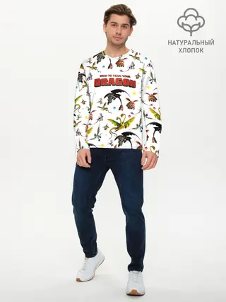 Мужской лонгслив базовый / Как приручить дракона