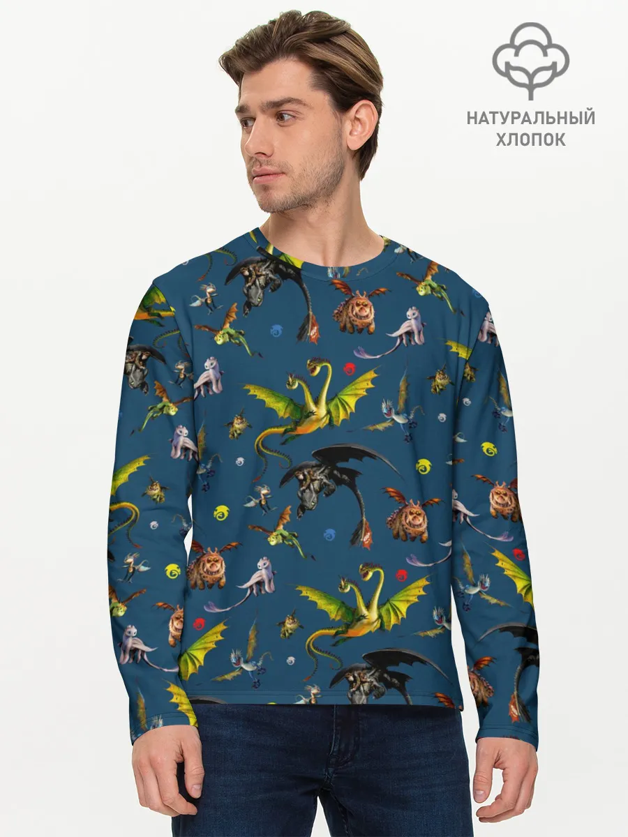 Мужской лонгслив базовый / Как приручить дракона