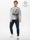 Мужской лонгслив базовый / Котенок
