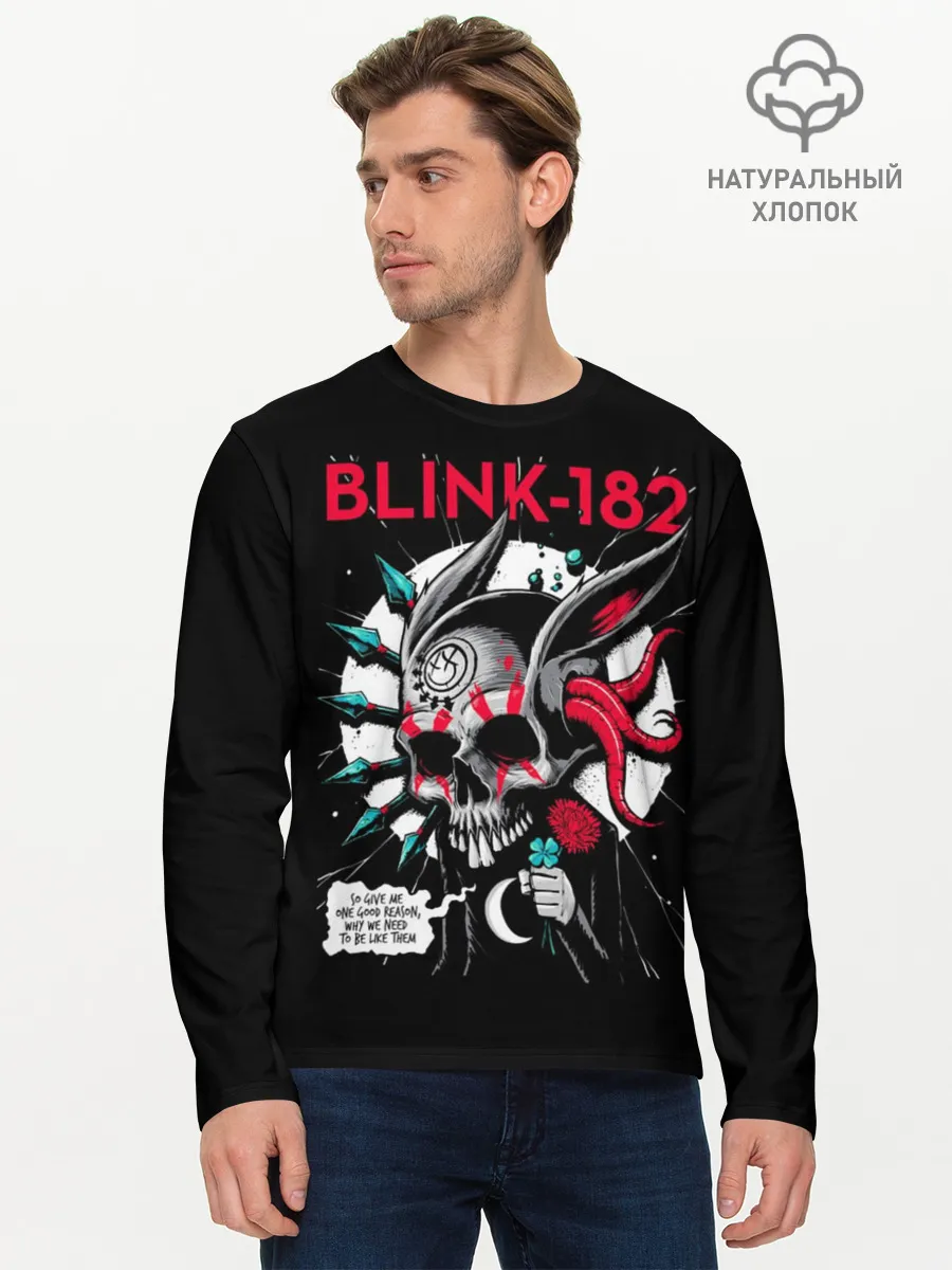 Мужской лонгслив базовый / Blink 182