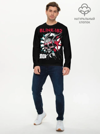 Мужской лонгслив базовый / Blink 182