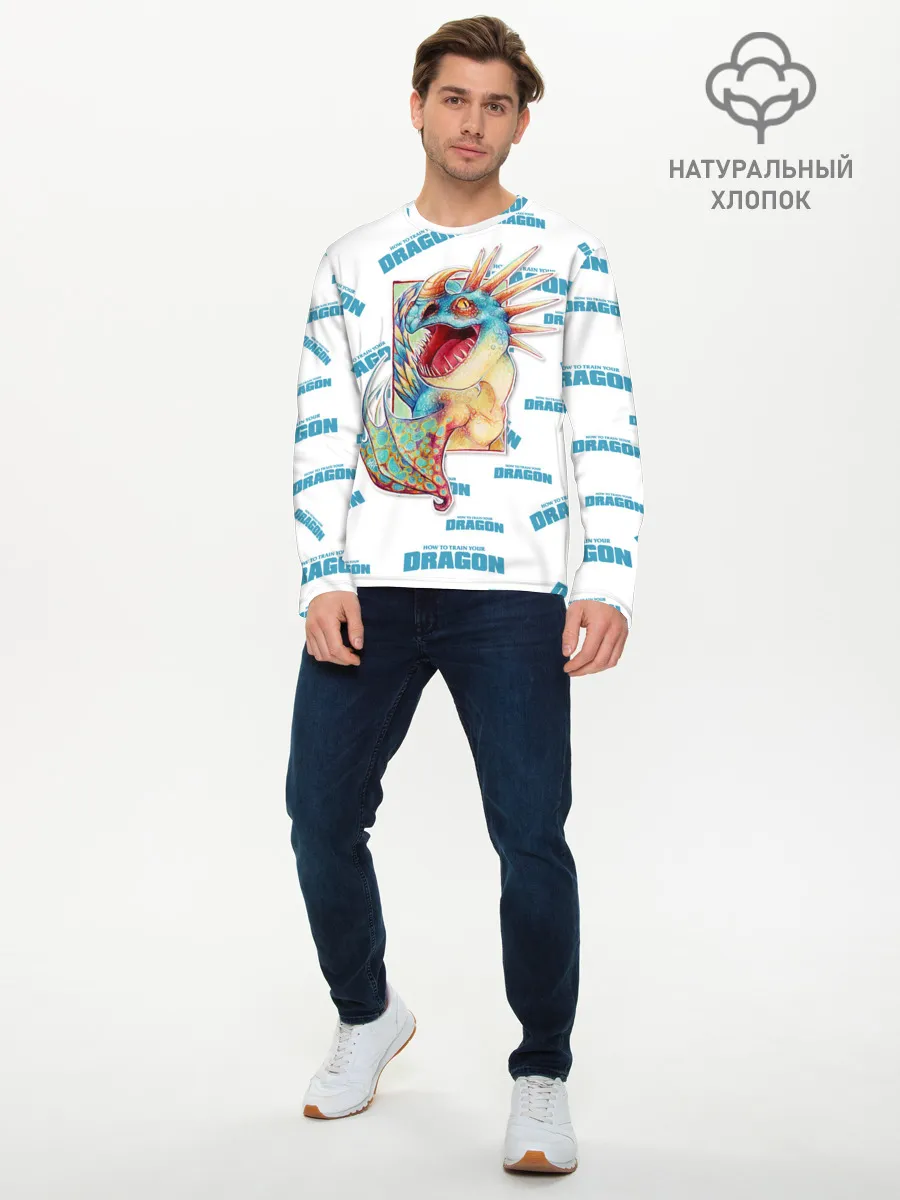 Мужской лонгслив базовый / Как приручить дракона