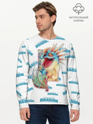 Мужской лонгслив базовый / Как приручить дракона