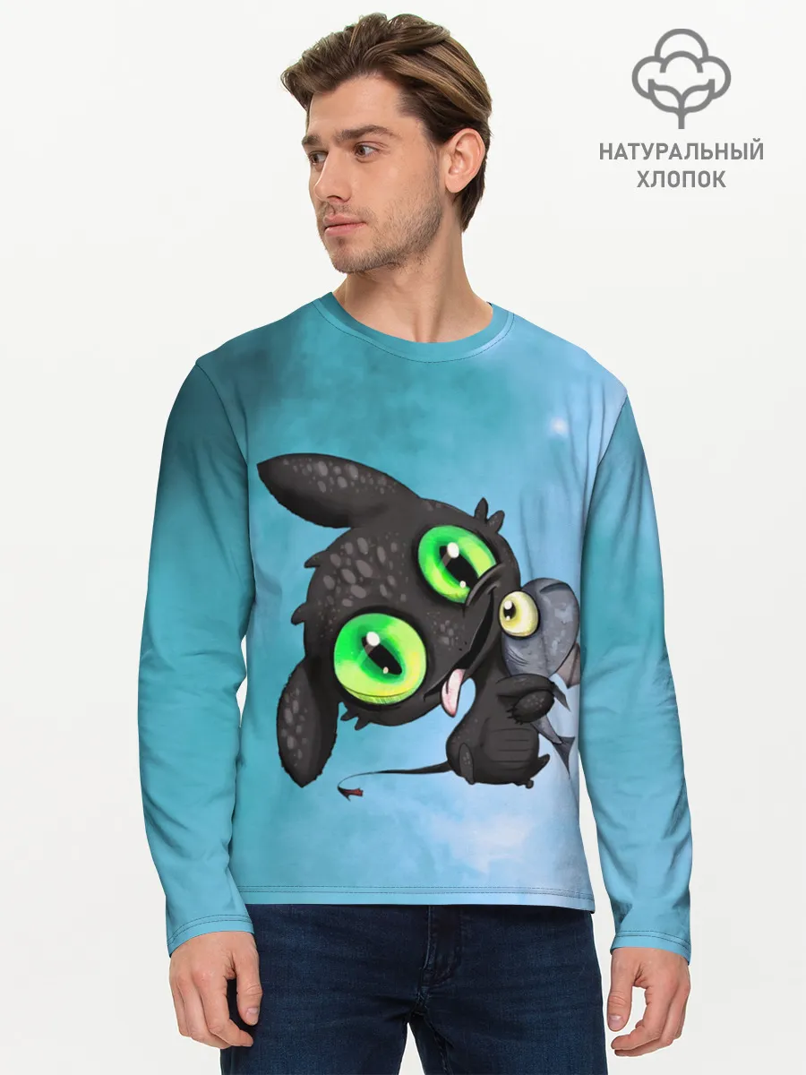 Мужской лонгслив базовый / дневная фурия