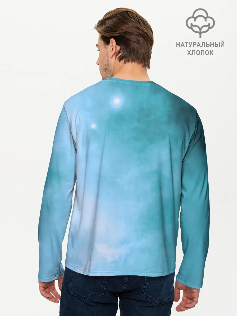 Мужской лонгслив базовый / дневная фурия