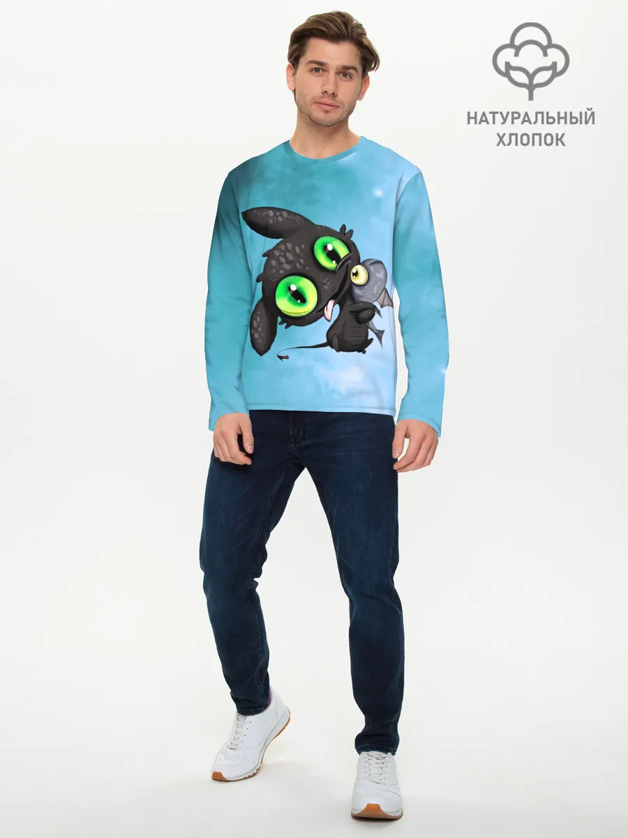 Мужской лонгслив базовый / дневная фурия