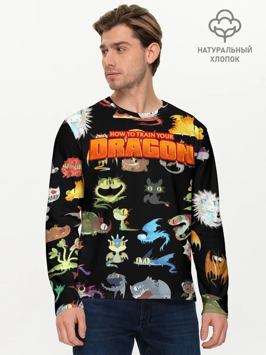 Мужской лонгслив базовый / How to Train Your Dragon