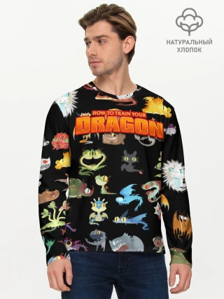 Мужской лонгслив базовый / How to Train Your Dragon