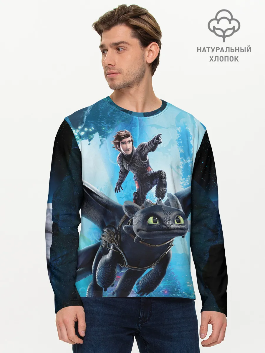 Мужской лонгслив базовый / Как приручить дракона 3