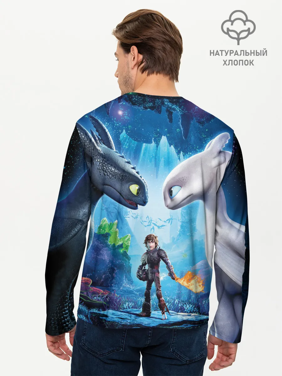 Мужской лонгслив базовый / Как приручить дракона 3