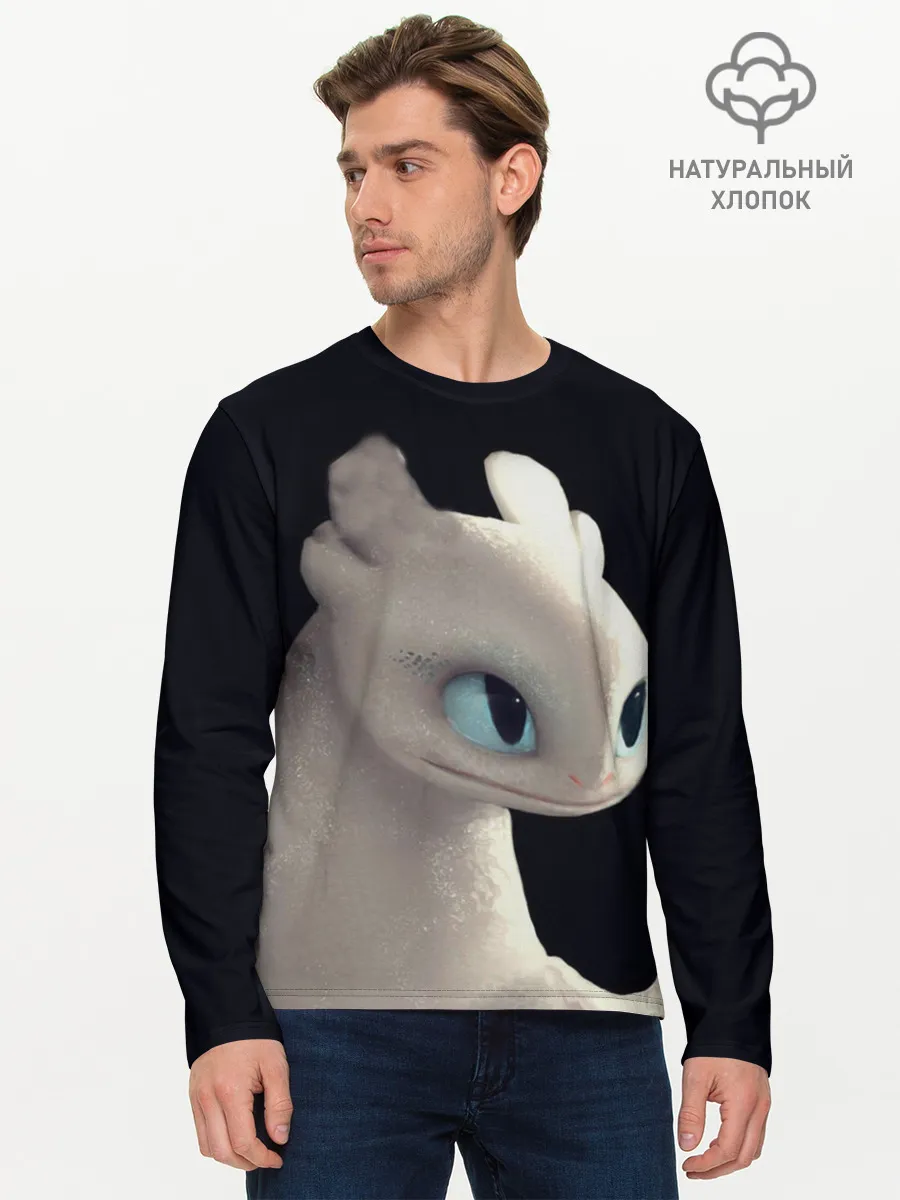 Мужской лонгслив базовый / Как приручить дракона