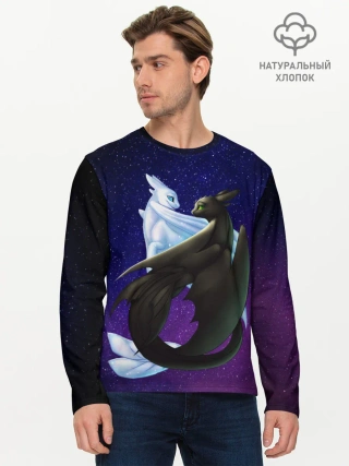 Мужской лонгслив базовый / Как приручить дракона