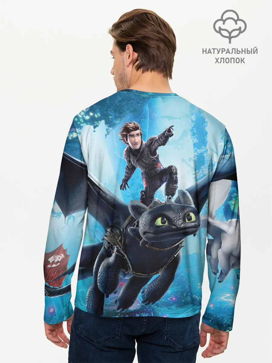 Мужской лонгслив базовый / Как приручить дракона 3