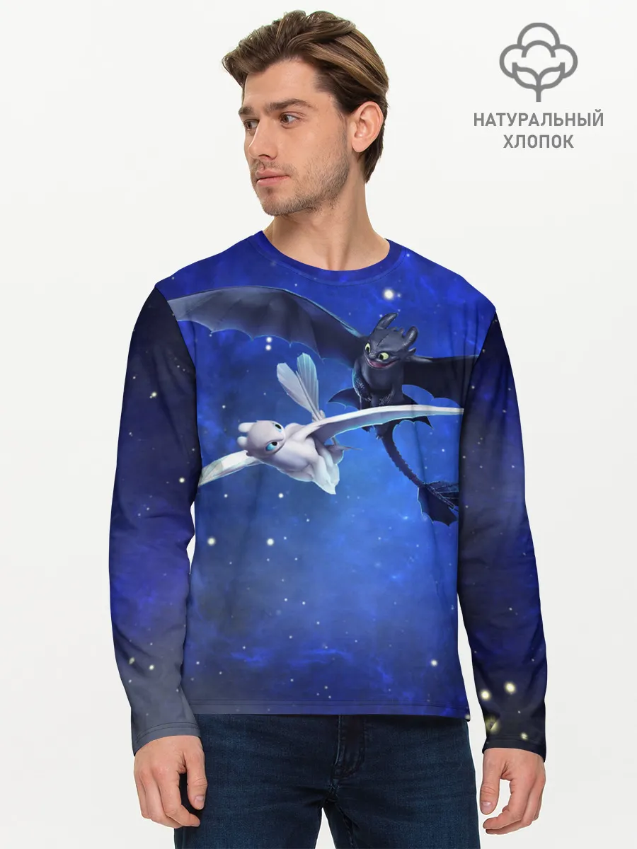 Мужской лонгслив базовый / Night Fury