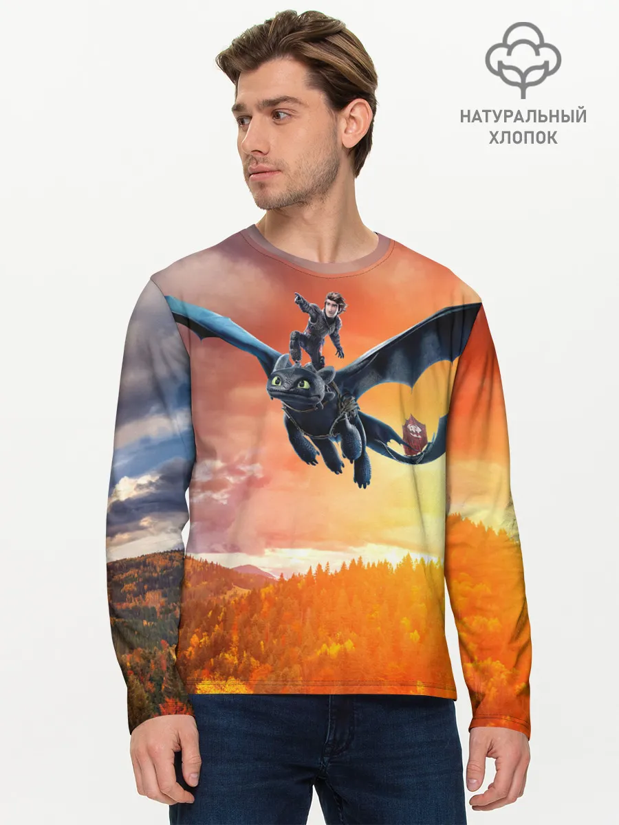 Мужской лонгслив базовый / Night Fury