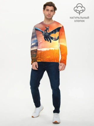 Мужской лонгслив базовый / Night Fury