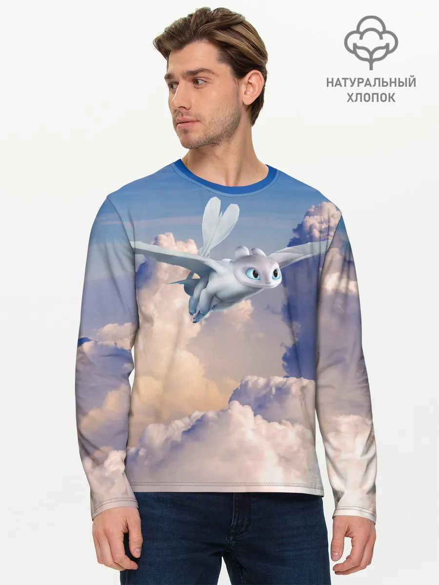 Мужской лонгслив базовый / Light Fury