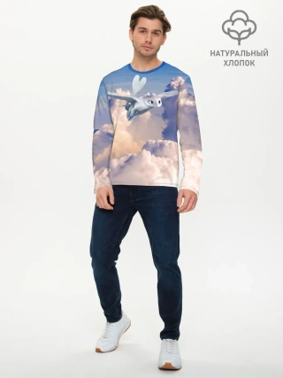 Мужской лонгслив базовый / Light Fury