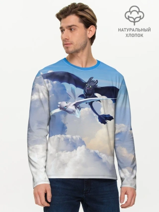 Мужской лонгслив базовый / Night Fury