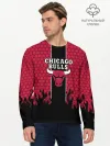Мужской лонгслив базовый / CHICAGO BULLS