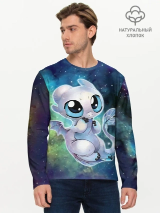 Мужской лонгслив базовый / дневная фурия