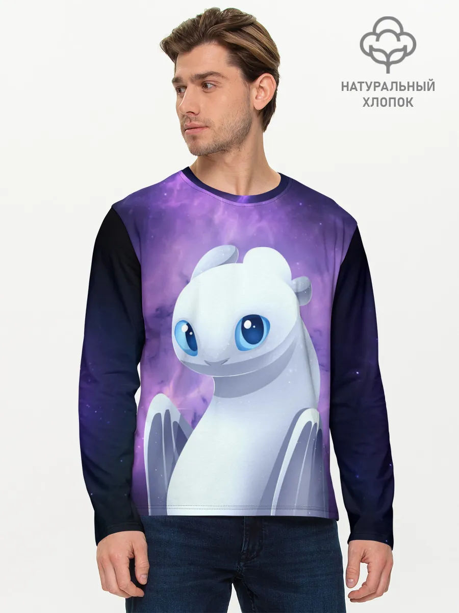 Мужской лонгслив базовый / дневная фурия