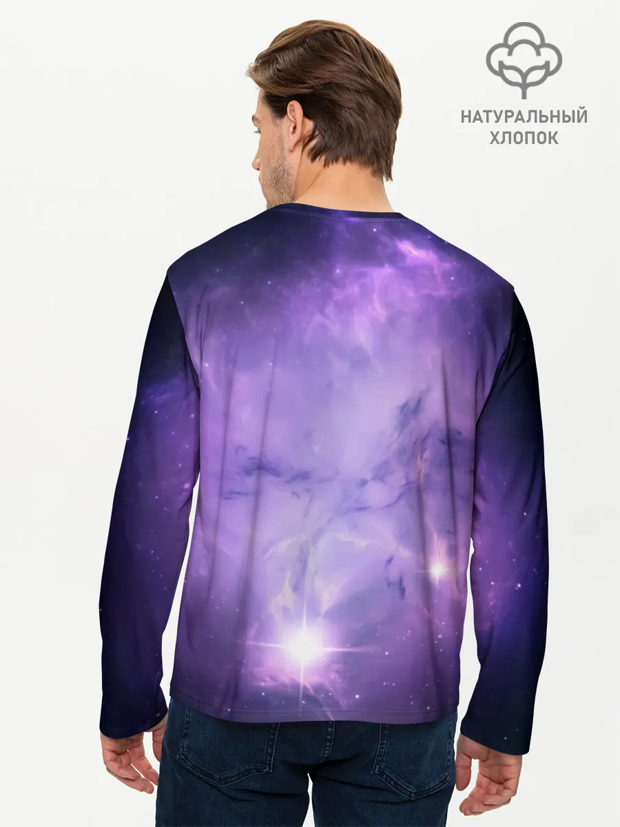 Мужской лонгслив базовый / дневная фурия