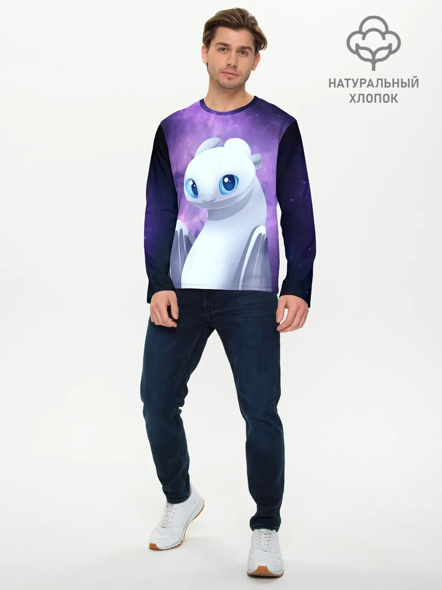 Мужской лонгслив базовый / дневная фурия