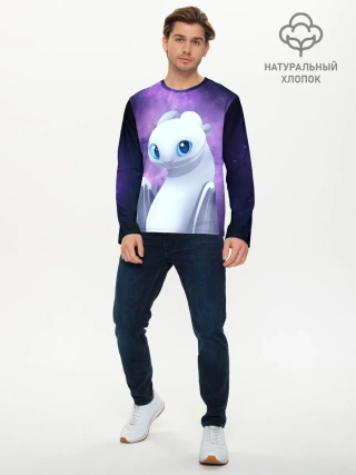 Мужской лонгслив базовый / дневная фурия