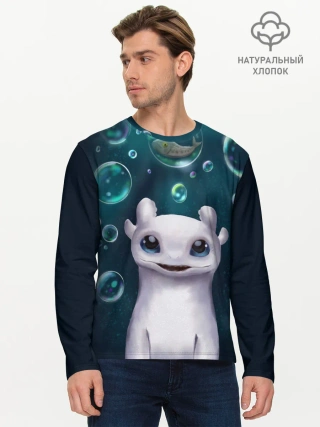 Мужской лонгслив базовый / дневная фурия