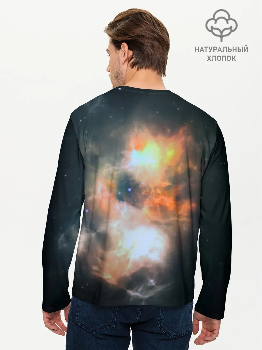 Мужской лонгслив базовый / Night Fury