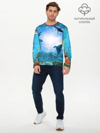 Мужской лонгслив базовый / Дельфины