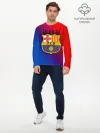 Мужской лонгслив базовый / FC Barcelona color sport