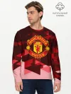 Мужской лонгслив базовый / Manchester United Abstract