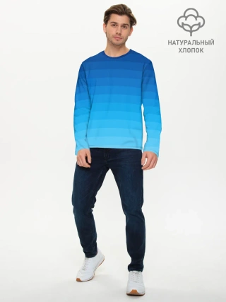 Мужской лонгслив базовый / Синие полосы