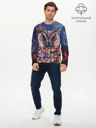 Мужской лонгслив базовый / Сова