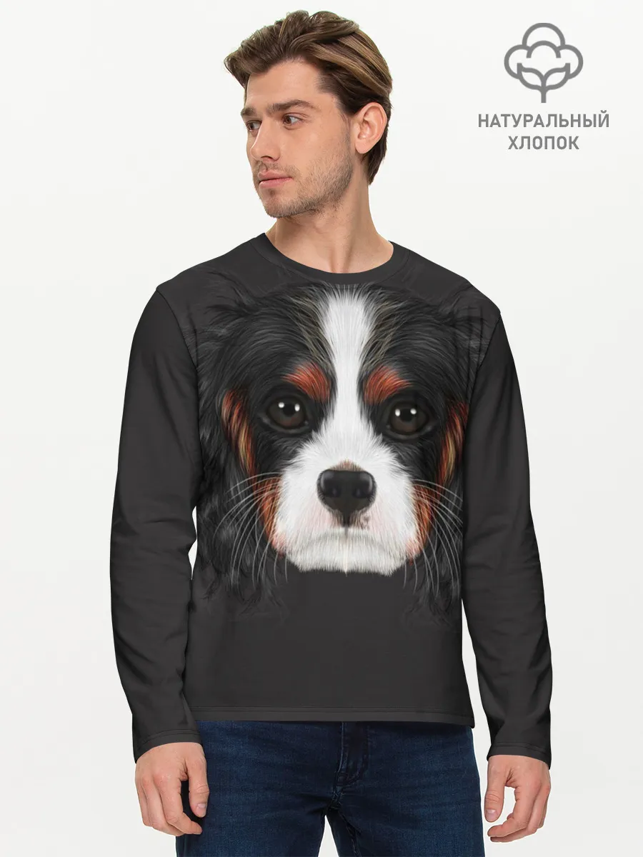 Мужской лонгслив базовый / Cavalier King Charles