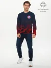 Мужской лонгслив базовый / BAYERN MUNCHEN SPORT