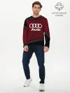 Мужской лонгслив базовый / AUDI SPORT