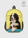 Рюкзак детский / Бернский зенненхунд, Berner Sennenhund