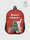 Рюкзак детский / Желания сбываются