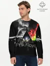 Мужской лонгслив базовый / Pink Floyd