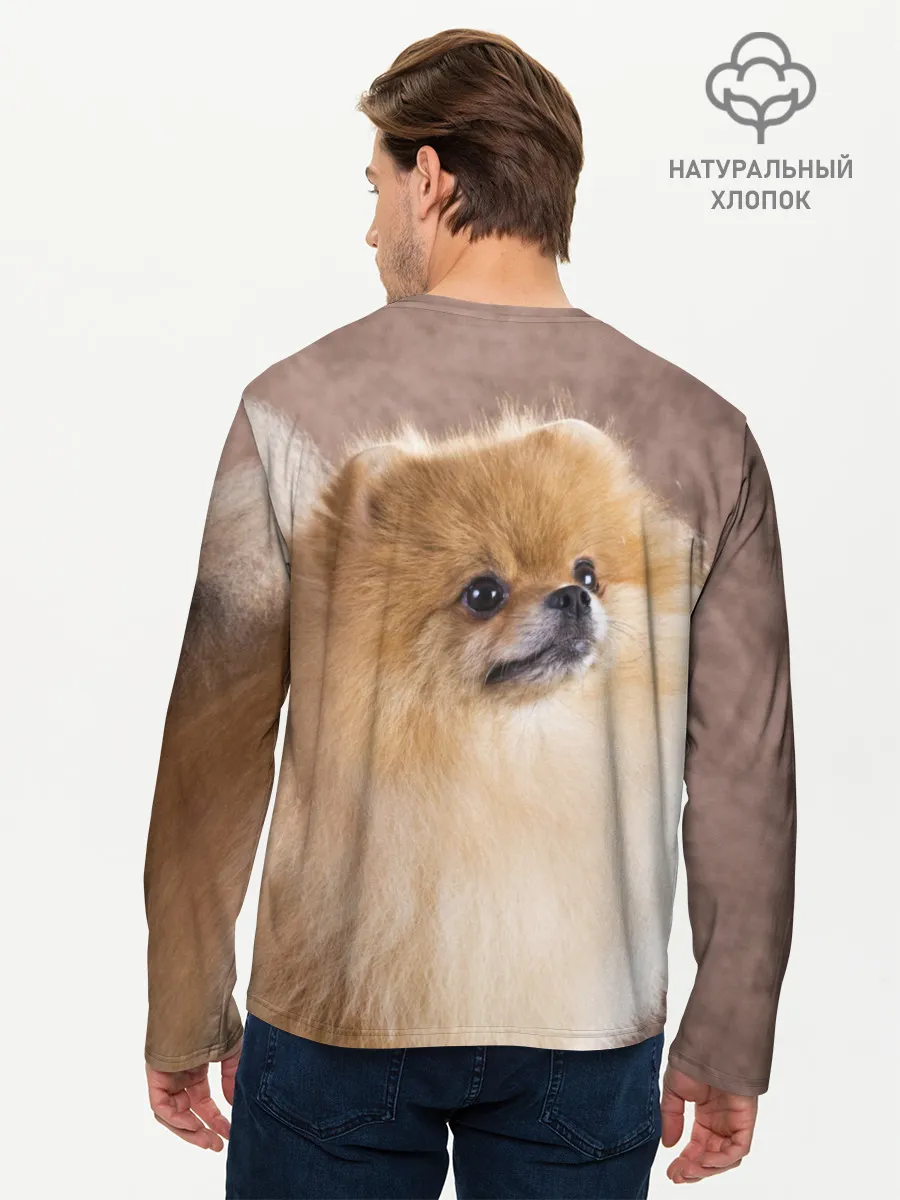 Мужской лонгслив базовый / Шпитс