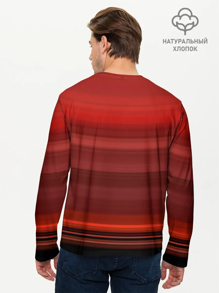 Мужской лонгслив базовый / Dark Souls