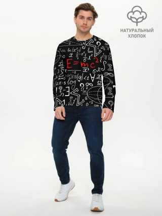 Мужской лонгслив базовый / ФОРМУЛЫ ФИЗИКА