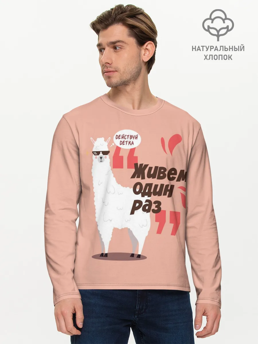 Мужской лонгслив базовый / Действуй детка